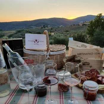 Ville Medicee: Tenuta Artimino - Travel in Tuscany